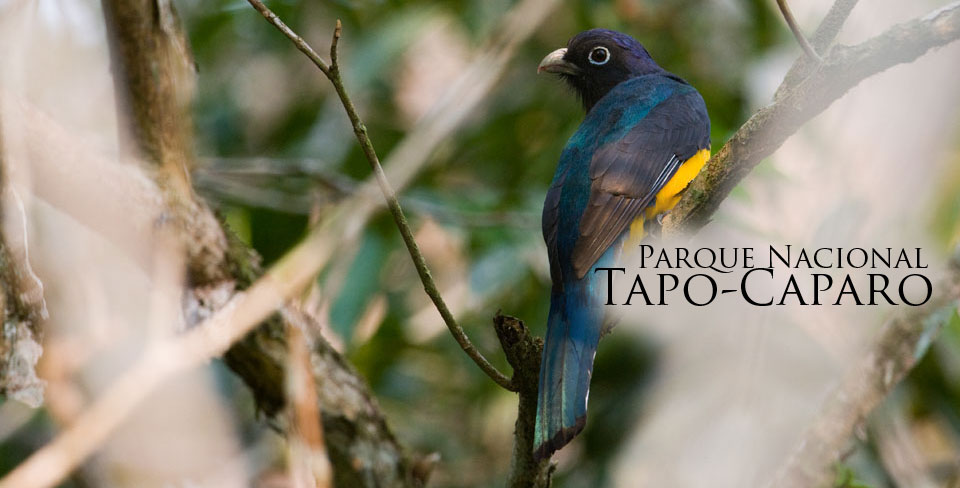 Parque Nacional Tapo Caparo – Edo. Táchira.
