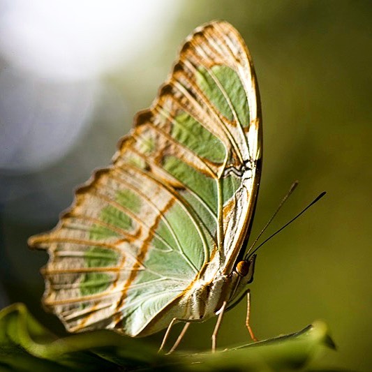 473730527_10170540086070282_7318725310058089274_n