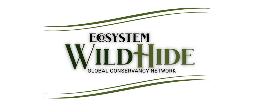 Logo-Wild-Hide-1