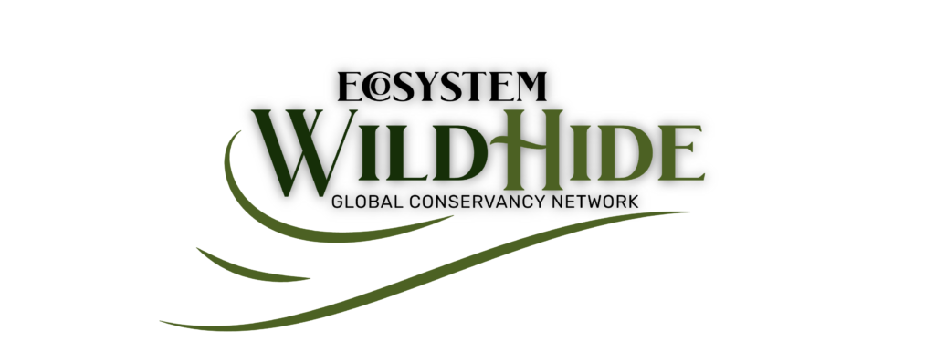 Logo-WildHide-2