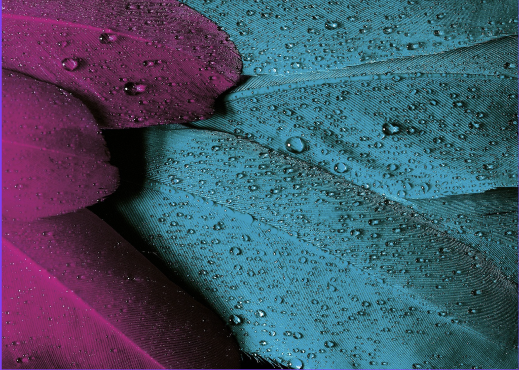 Captura de pantalla 2025-01-14 a las 13.30.11