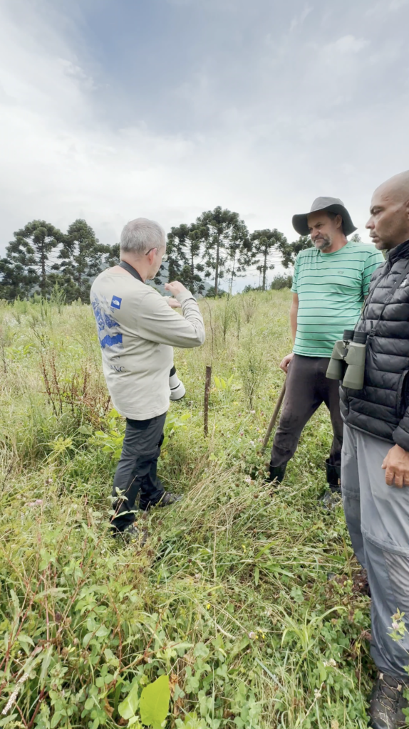 Captura de pantalla 2026-03-01 a las 18.18.07