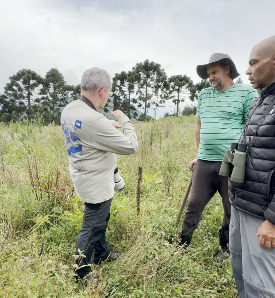 Captura de pantalla 2026-03-01 a las 18.18.07