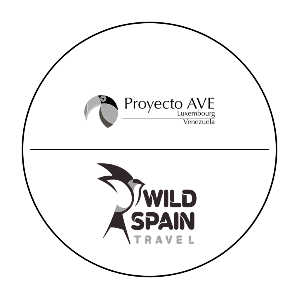 logos-PA-WST